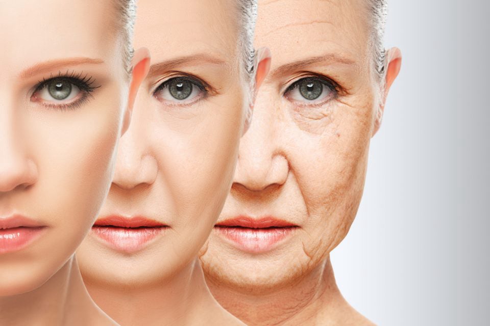 antiaging support