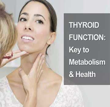 thyroid